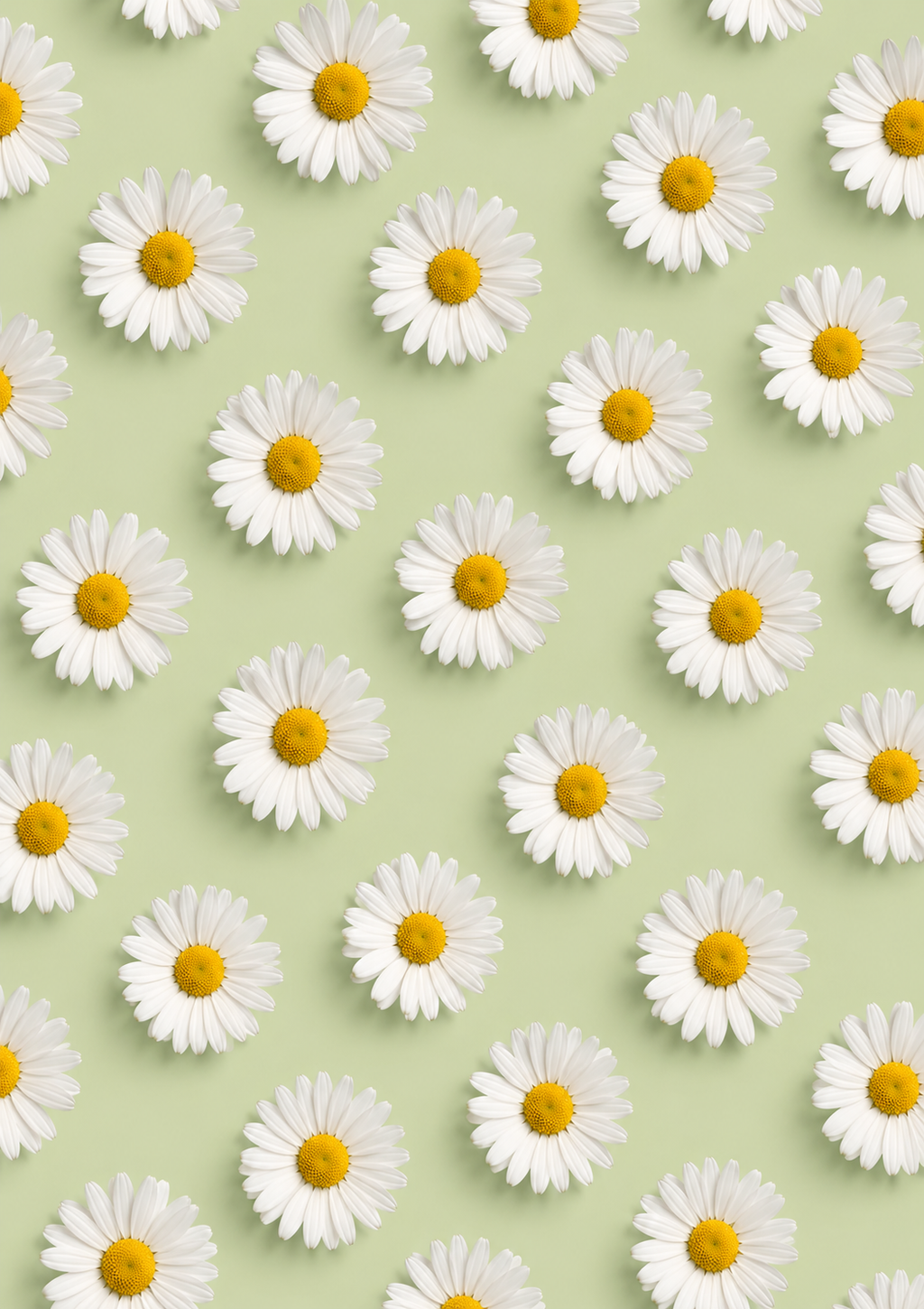 DAISIES Room Mist - Wild Daisy, Fresh Grass, Linen (Travel Size 100ml)