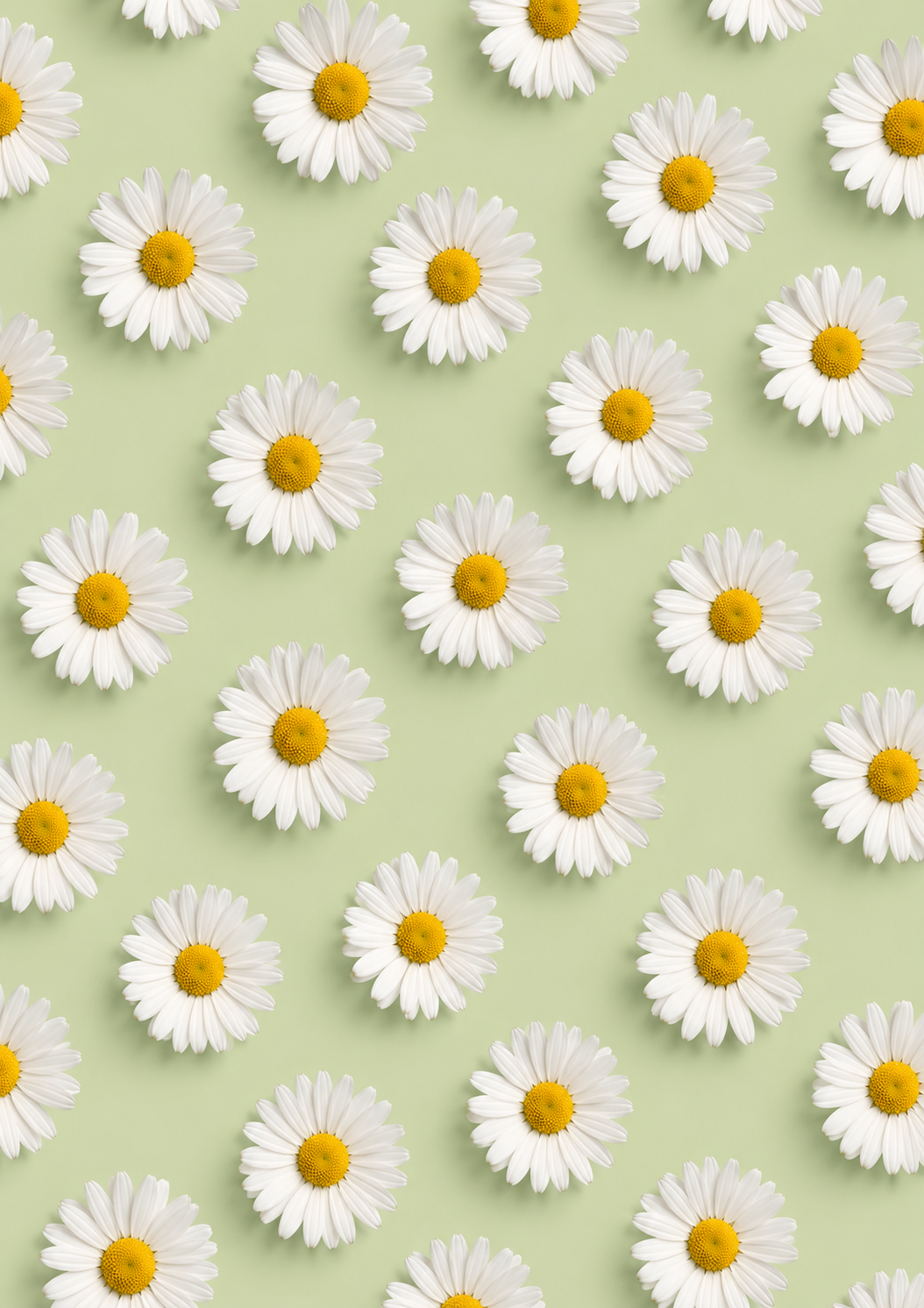DAISIES Room Mist - Wild Daisy, Fresh Grass, Linen (Travel Size 100ml)